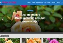 Photo of Как создать первый сайт в GPT WP: от темы до публикаций