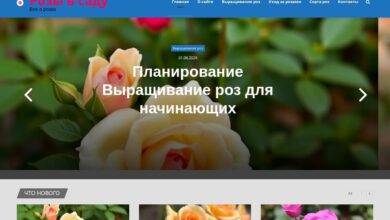 Photo of Как создать первый сайт в GPT WP: от темы до публикаций